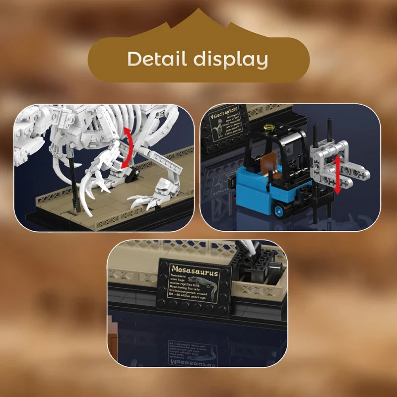 MOULD KING 29005 Saurus ve Velociraptor Fosil Dinozor Yapım Seti
