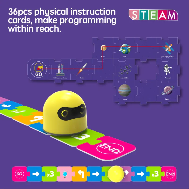 STEM Programlanabilir Robot Eğitimi Seti